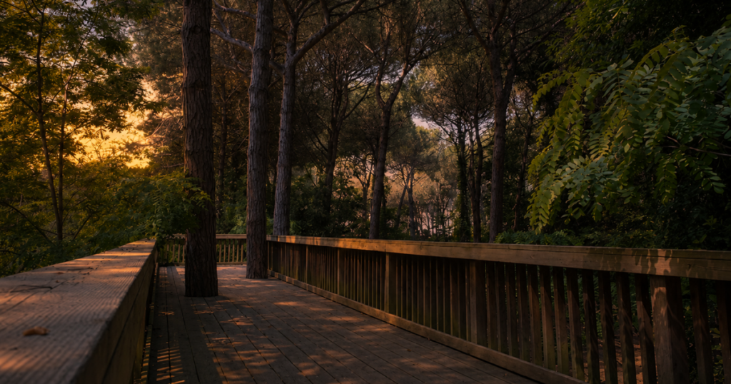 Hotel Picobello Pineta pineta tramonto